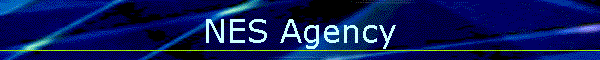 NES Agency